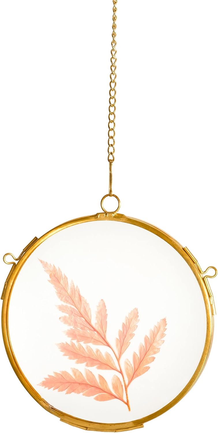 NCYP 43 Inch Double Glass Floating Frame for Photos and Pressed Flowers
