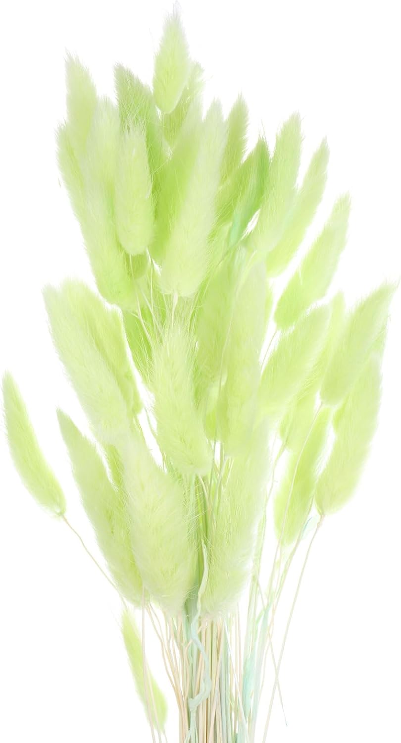 MECCANIXITY 60pcs 24 Inch Dried Pampas Grass Bunches