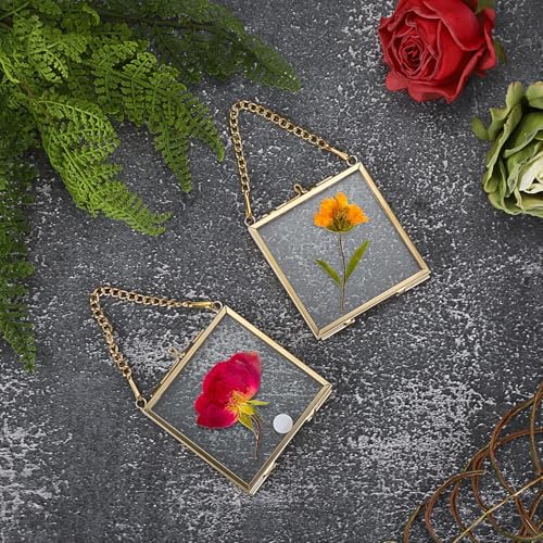 4 Pack Mini Brass Frame for Pressed Flowers Art Display