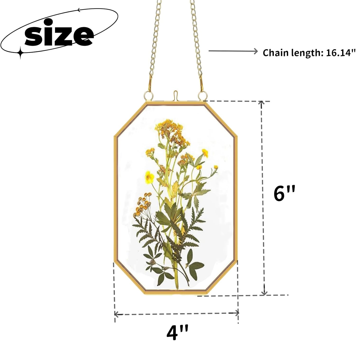Pressed Flower Frame Brass Wall Decor 4x6 Inches Gold