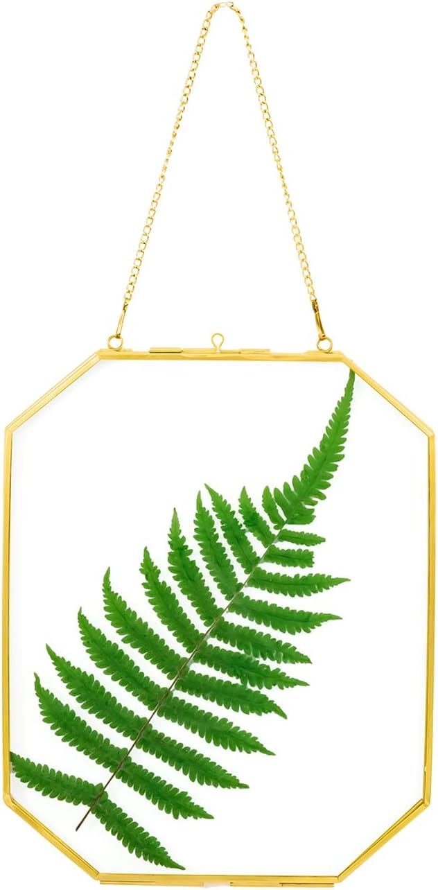 8x10 Inch Gold Pressed Flower Frame with Chain