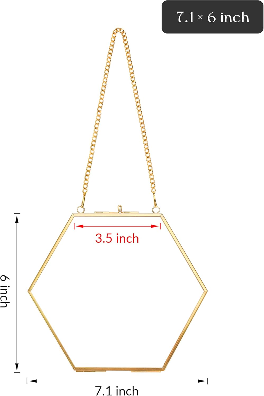 Redhugo Glass Pressed Flower Frame Hexagon Gold Brass Wall Hanging