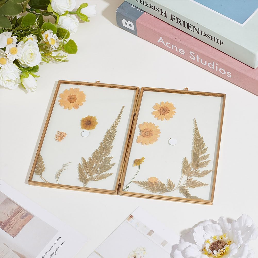 UNICRAFTALE Brass Double Picture Frame with Glass