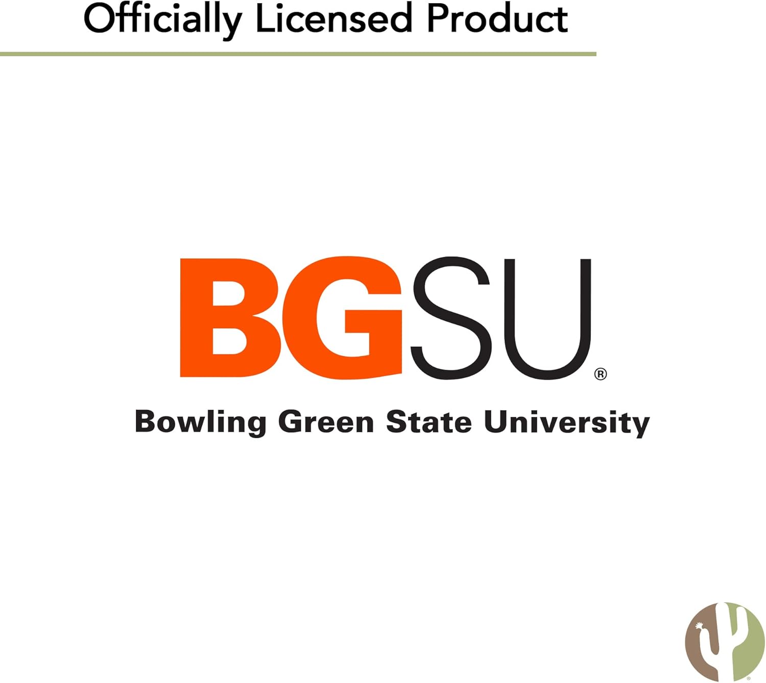 Desert Cactus BGSU Graduation Party Invitations 5x7 10 Count With Envelopes