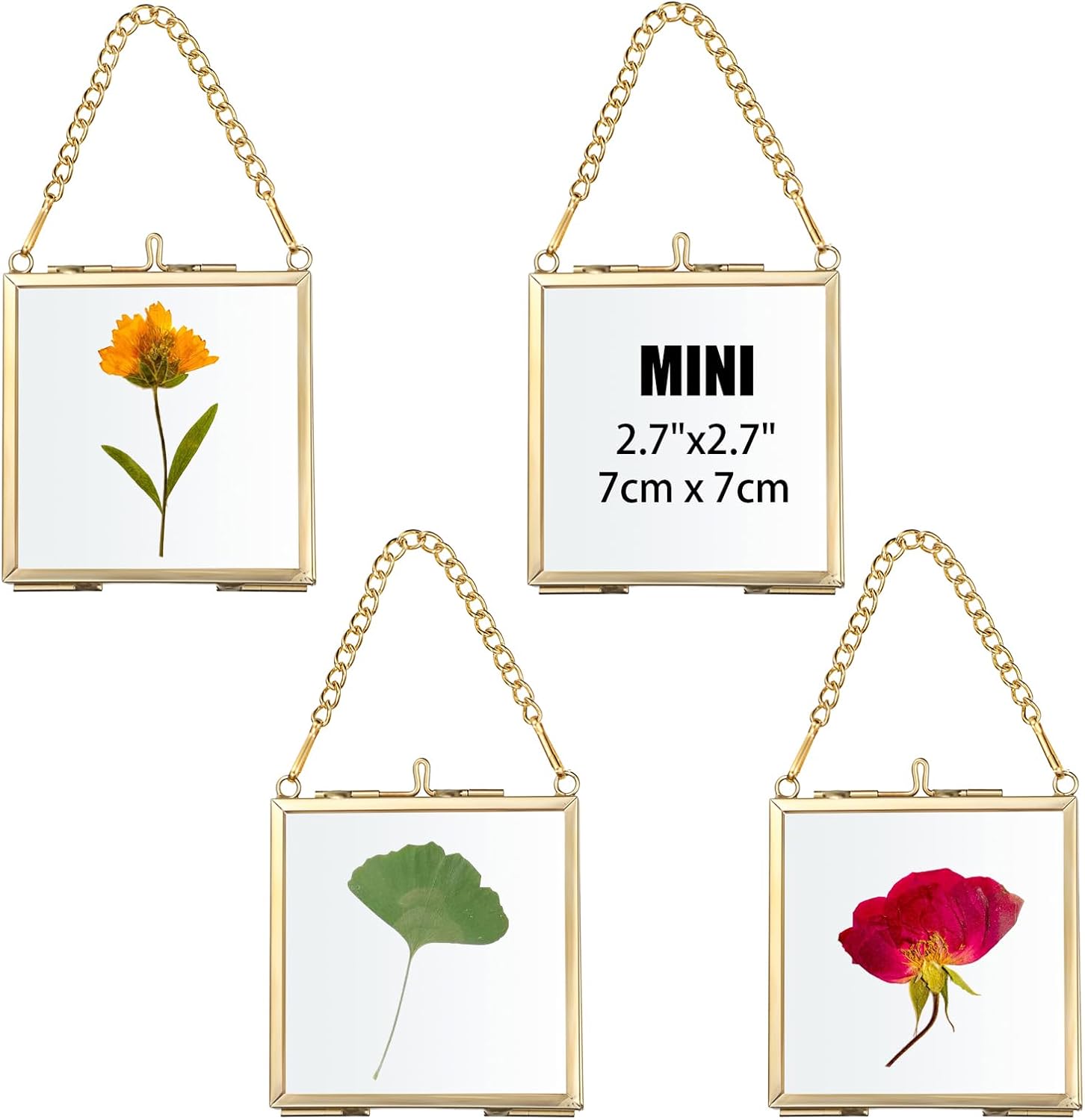 4 Pack Mini Brass Frame for Pressed Flowers Art Display