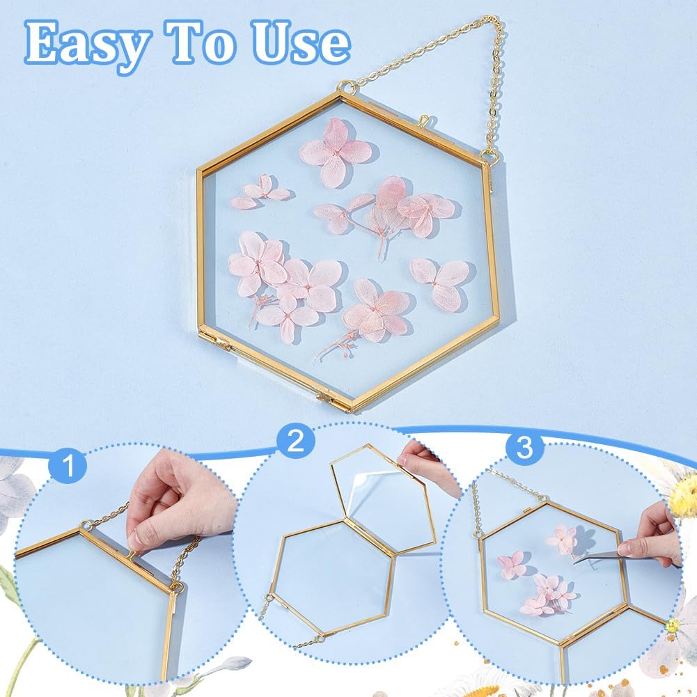 UNICRAFTALE 2Pcs Floating Glass Photo Frame with Golden Pressed Flowers
