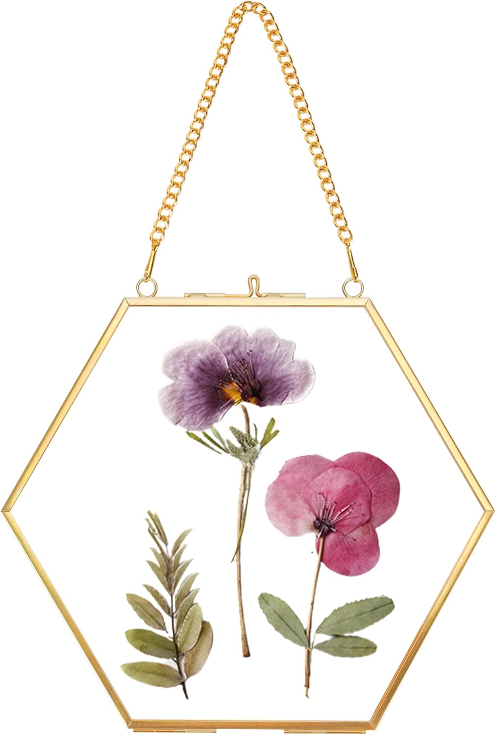 Redhugo Glass Pressed Flower Frame Hexagon Gold Brass Wall Hanging