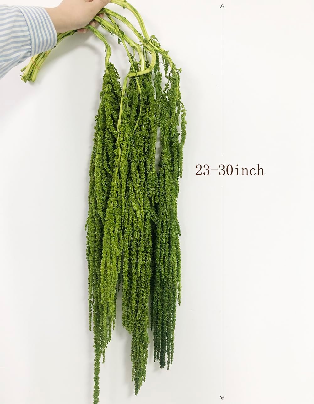 5 Piece Bleached Wisteria Hanging Vine for Wedding Decor