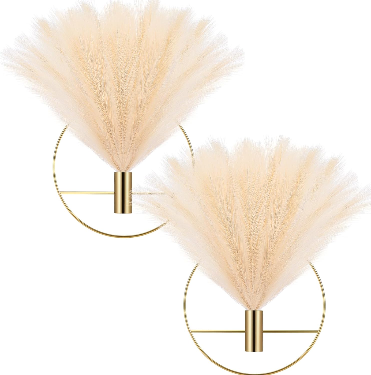Wesiti 2 Piece Boho Pampas Wall Decor Set