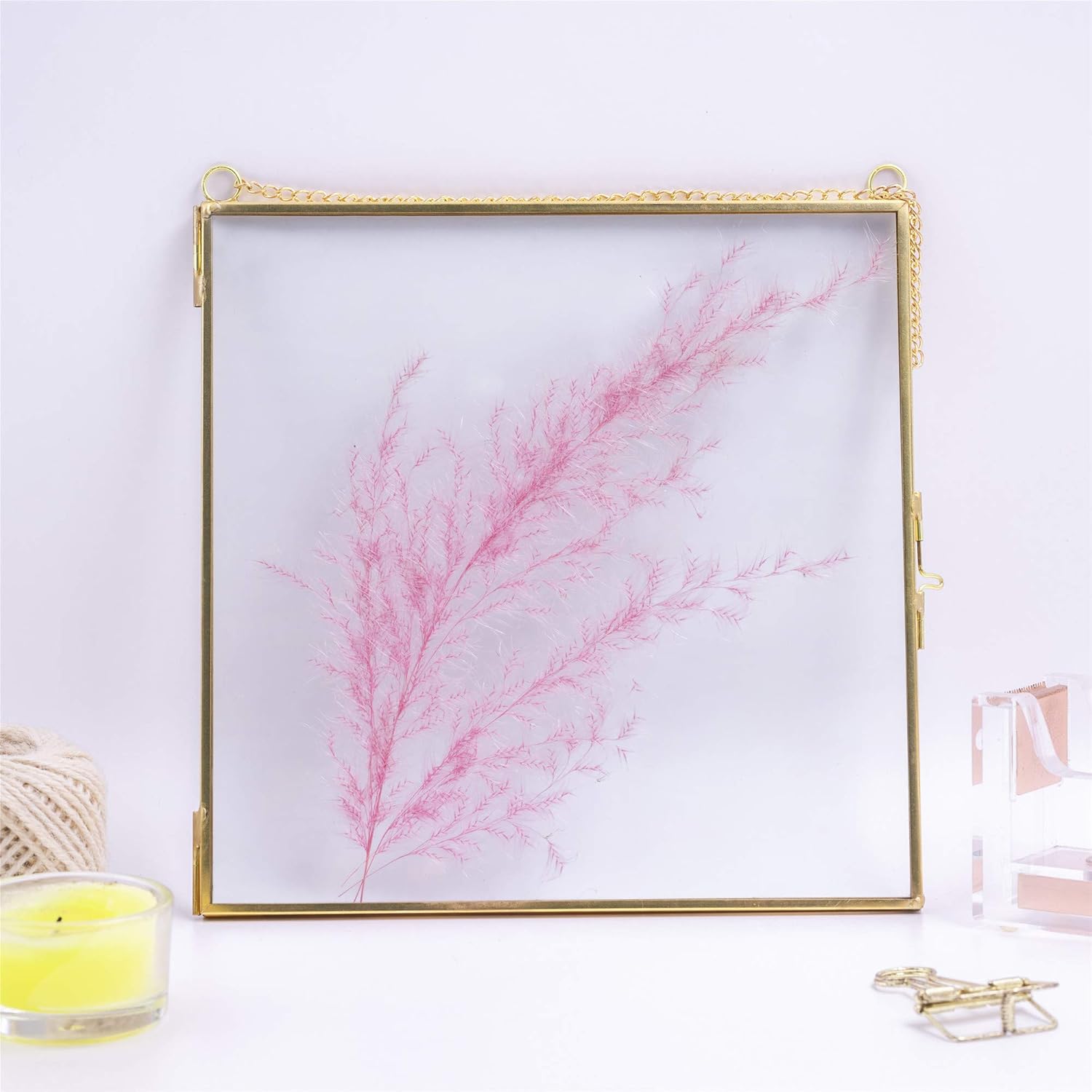 NCYP Double Glass Frame 8x8 Inch for Dried Flowers and Photos