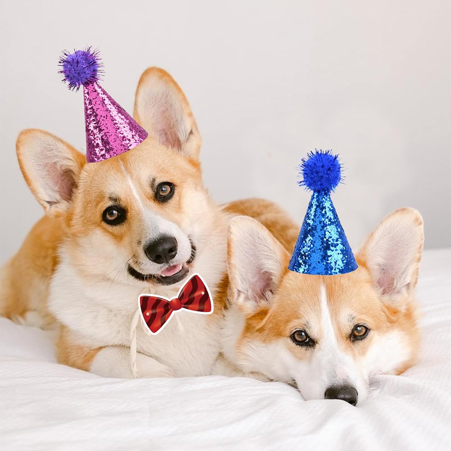 Delaimastor Mini Party Hats with Bow Ties 10 Pack