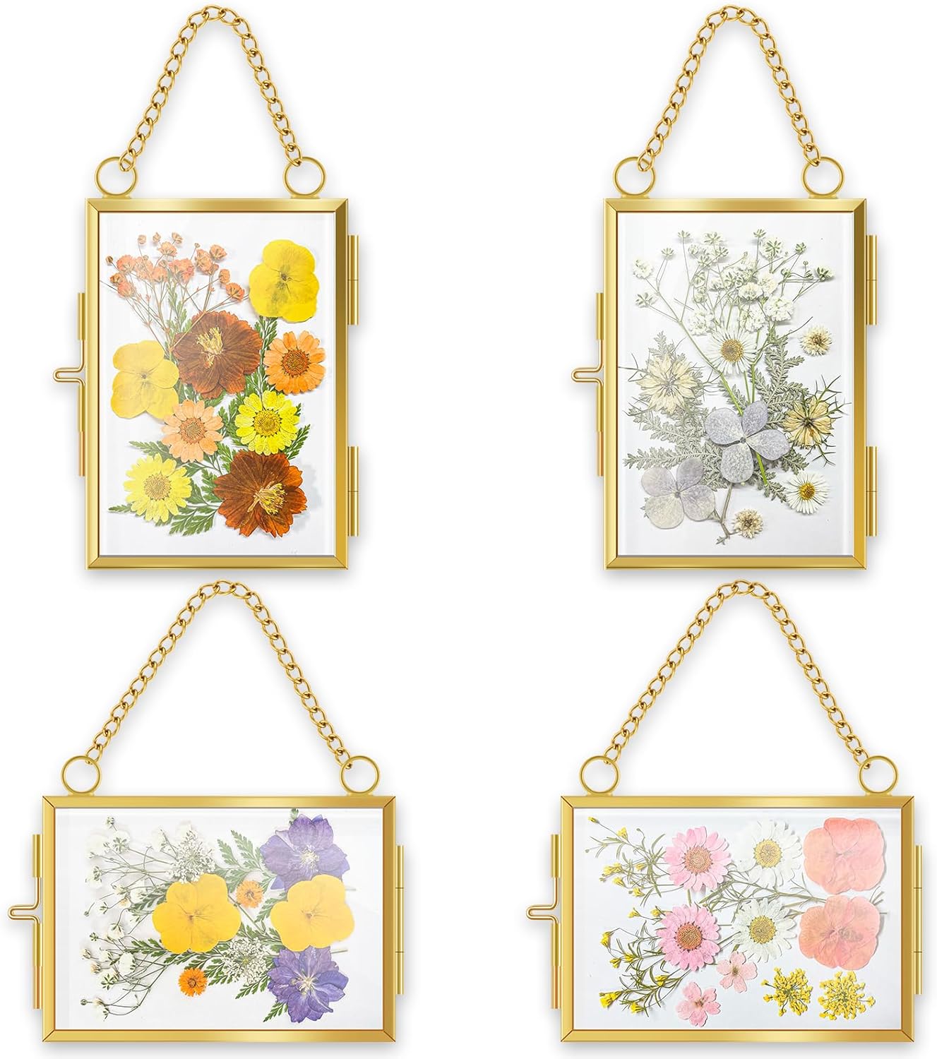 4Pcs Glass Pressed Flower Frames for Wall Decor