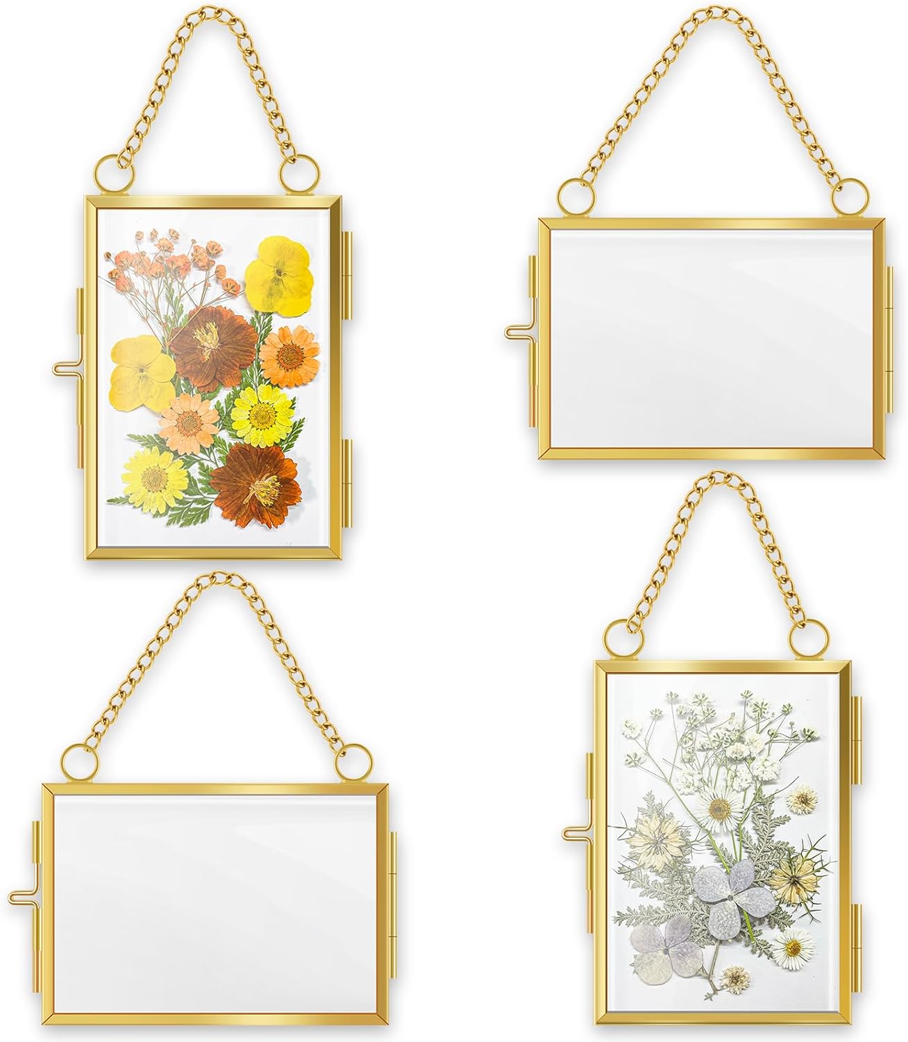 4 Pcs Hanging Pressed Flower Frames with Metal Chain