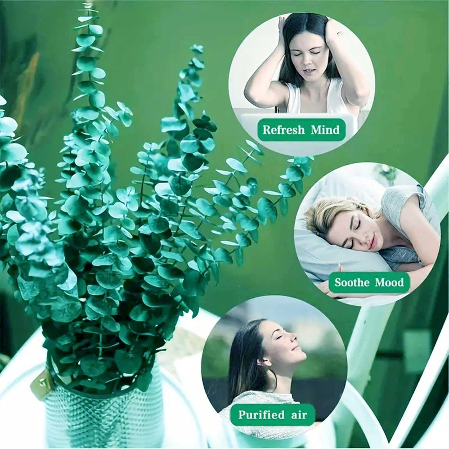 32Pcs Dried Eucalyptus Stems for Shower Decor