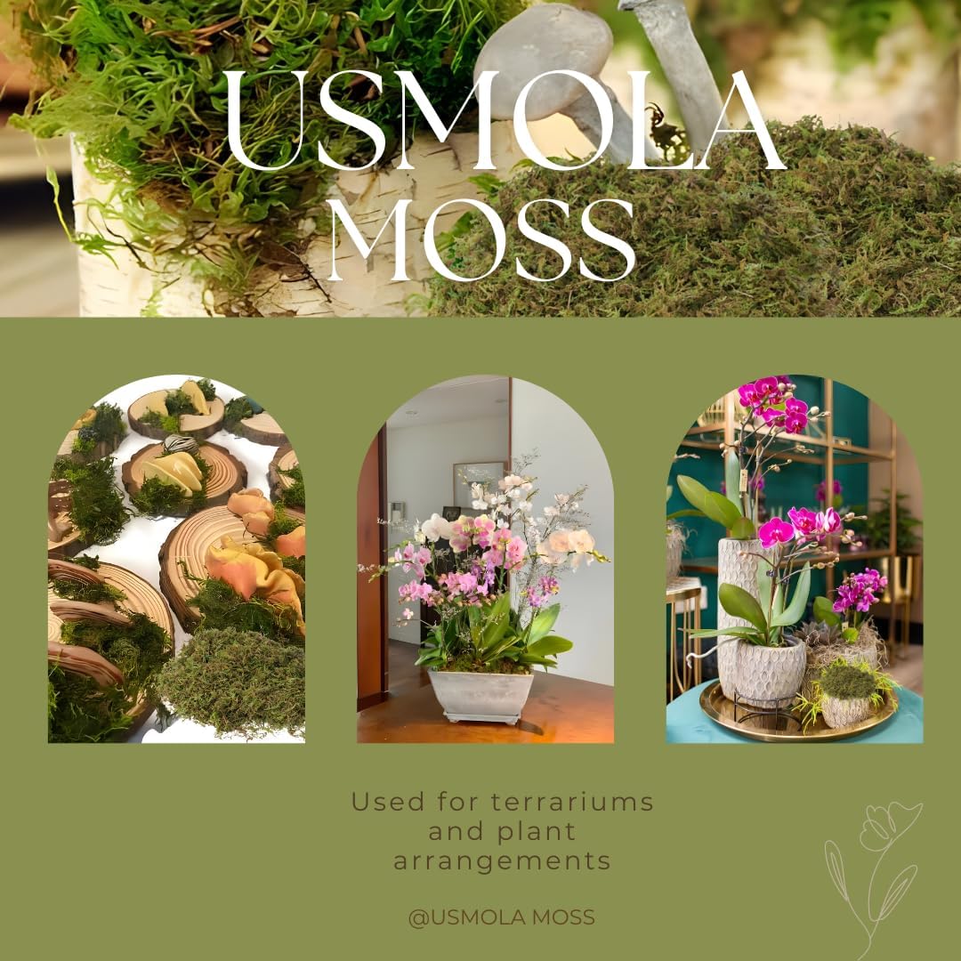 USMOLA Fake Green Moss for Potted Plants and DIY Crafts
