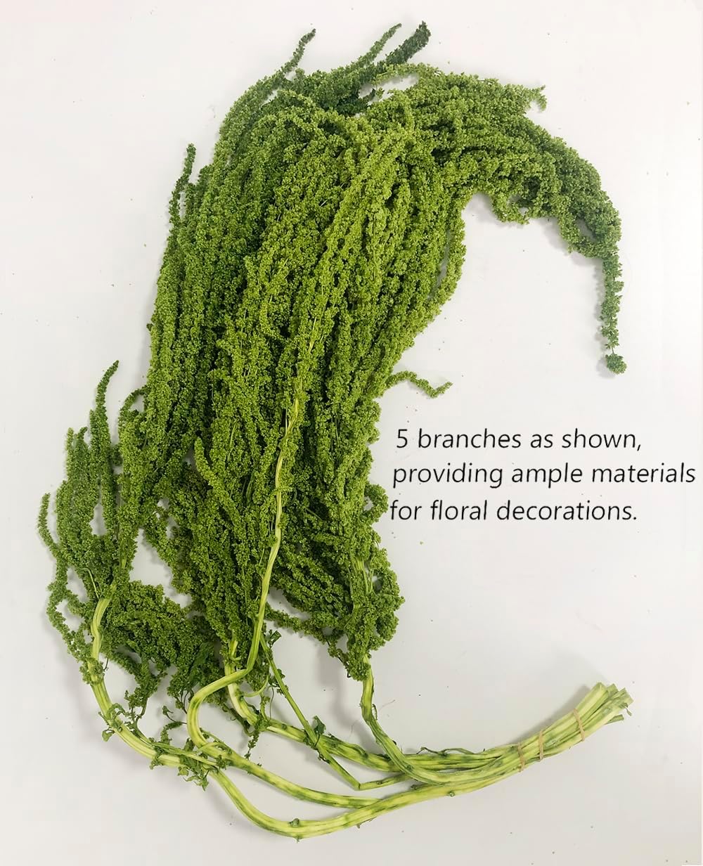 5 Piece Bleached Wisteria Hanging Vine for Wedding Decor