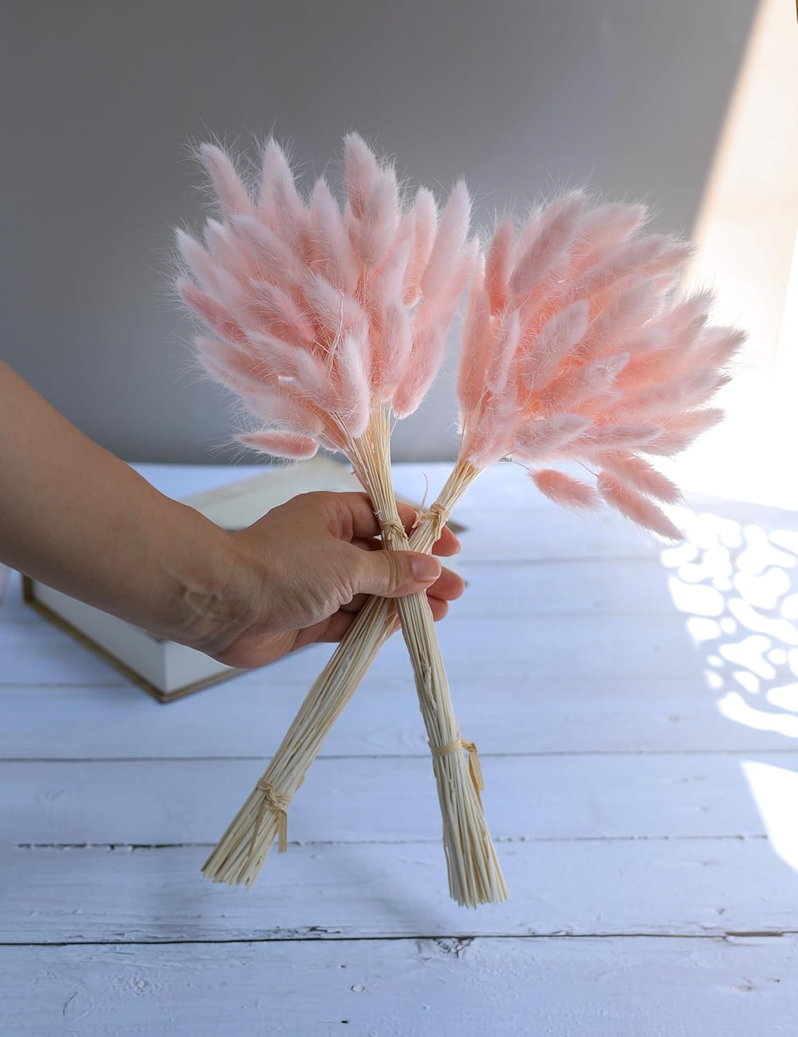 Xins Convey 120pcs Dried Bunny Tail Pink Decor