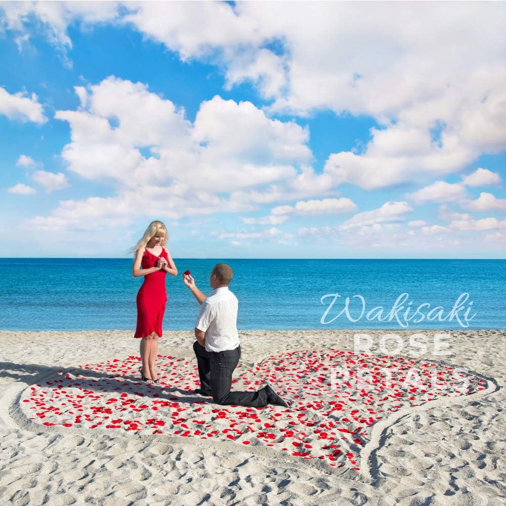 Pre-Separated Scented Artificial Silk Rose Petals 1000 PCS Dark Red