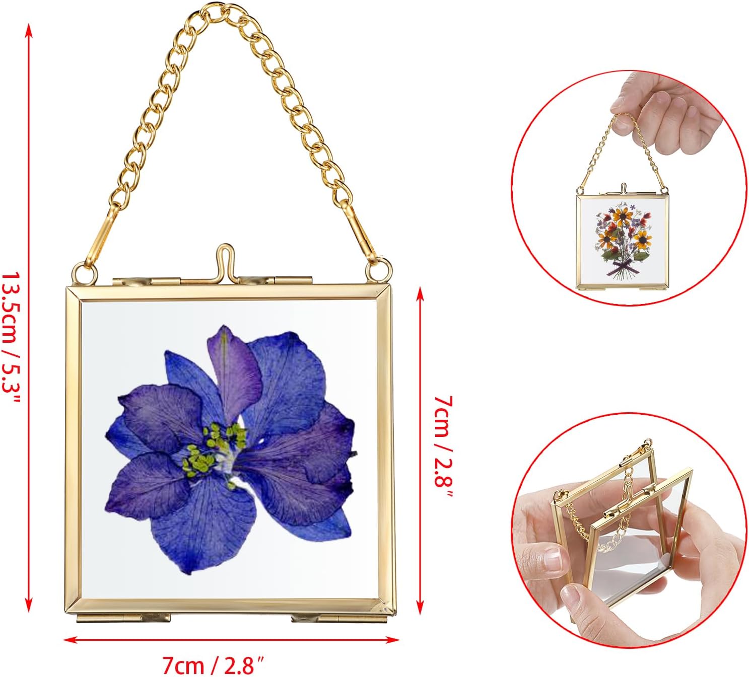 4 Pack Mini Brass Frame for Pressed Flowers Art Display