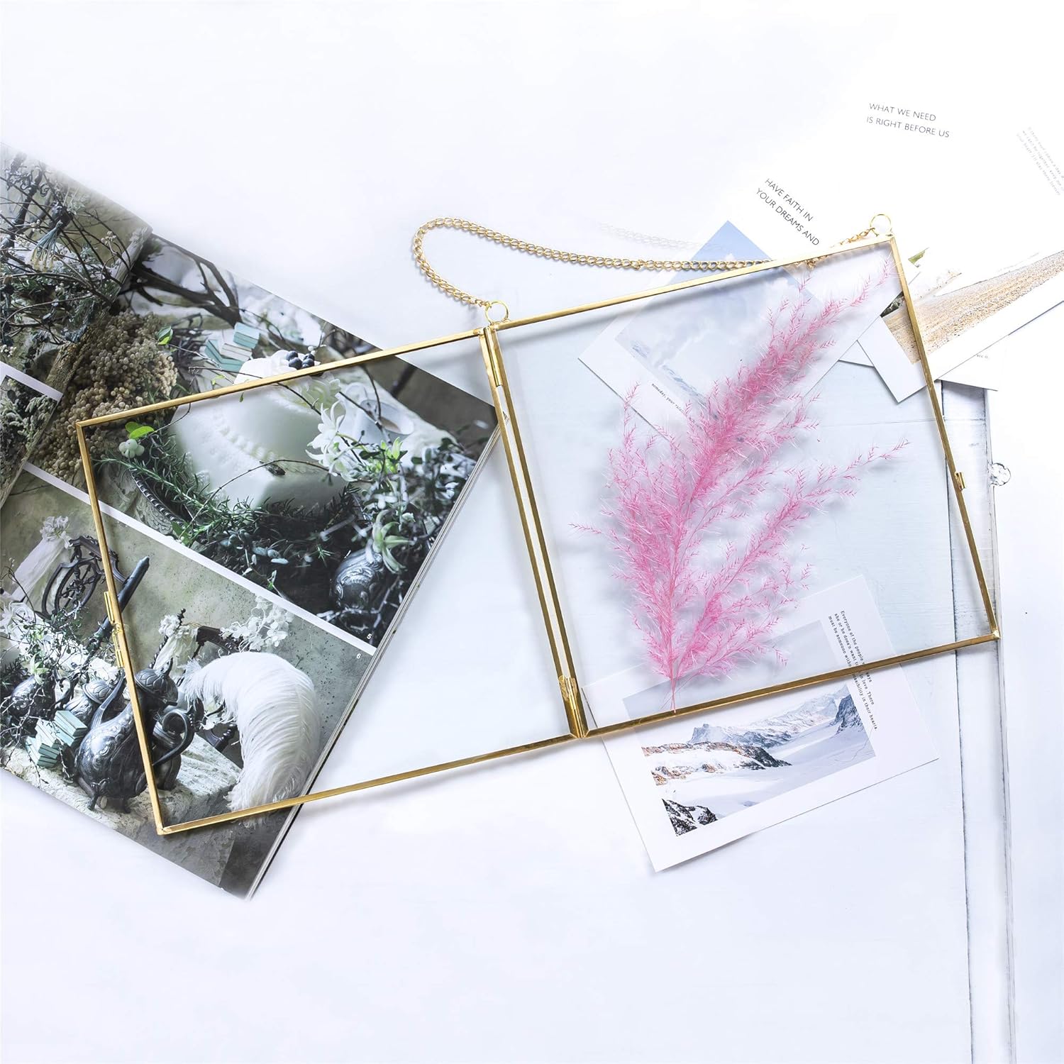 NCYP Double Glass Frame 8x8 Inch for Dried Flowers and Photos
