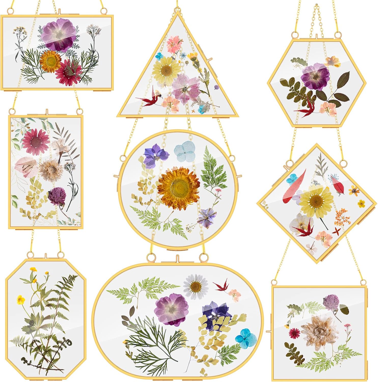 Reginary 9 Pcs Gold Brass Pressed Flower Frames