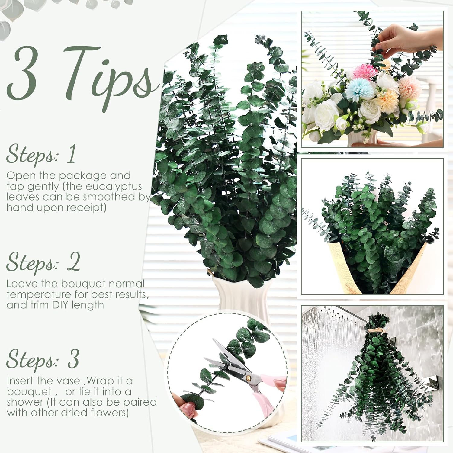 100 Pcs Large Dried Eucalyptus Stems for Home Decor