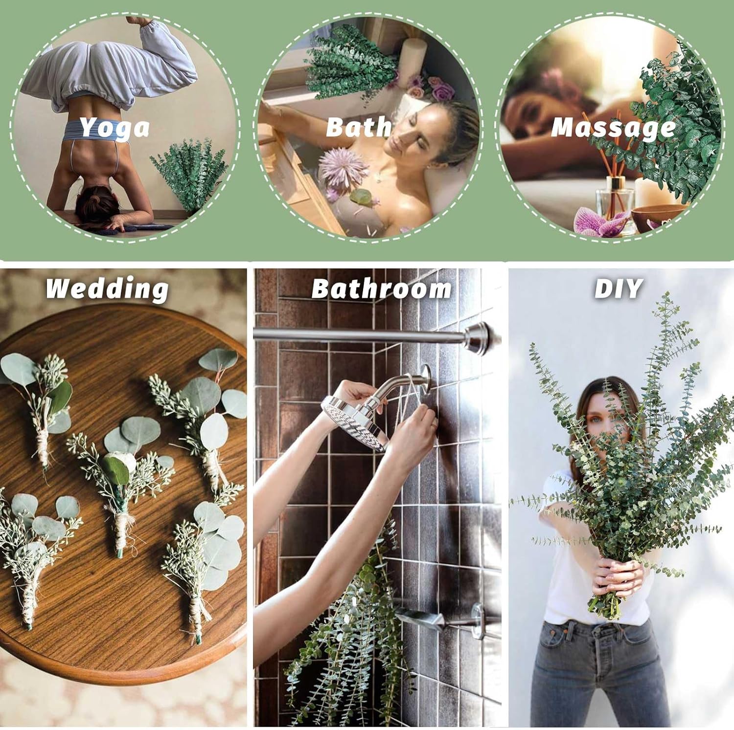 32Pcs Dried Eucalyptus Stems for Shower Decor