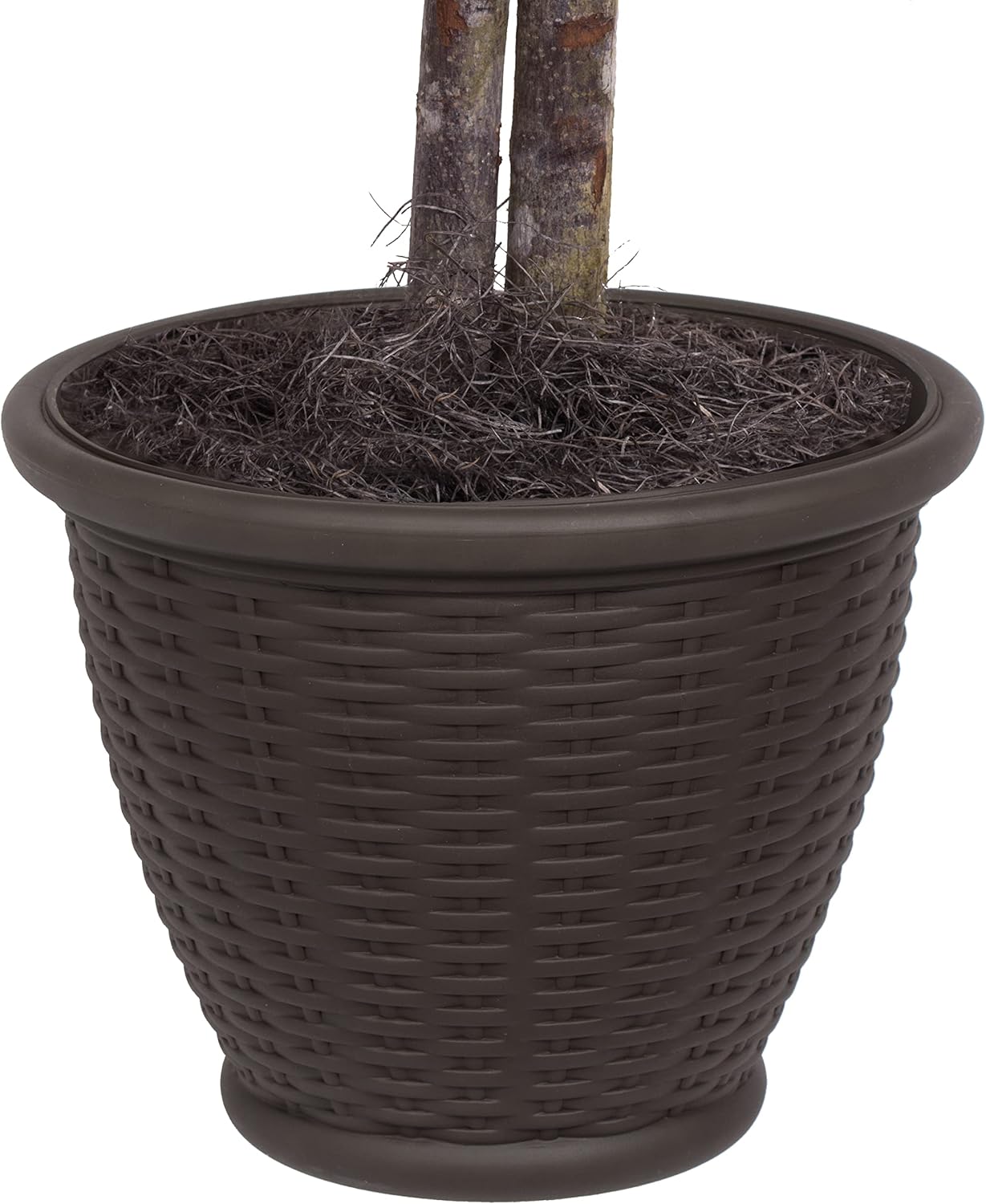 Vickerman 4 Artificial Green Smilax Bush with Decorative Container