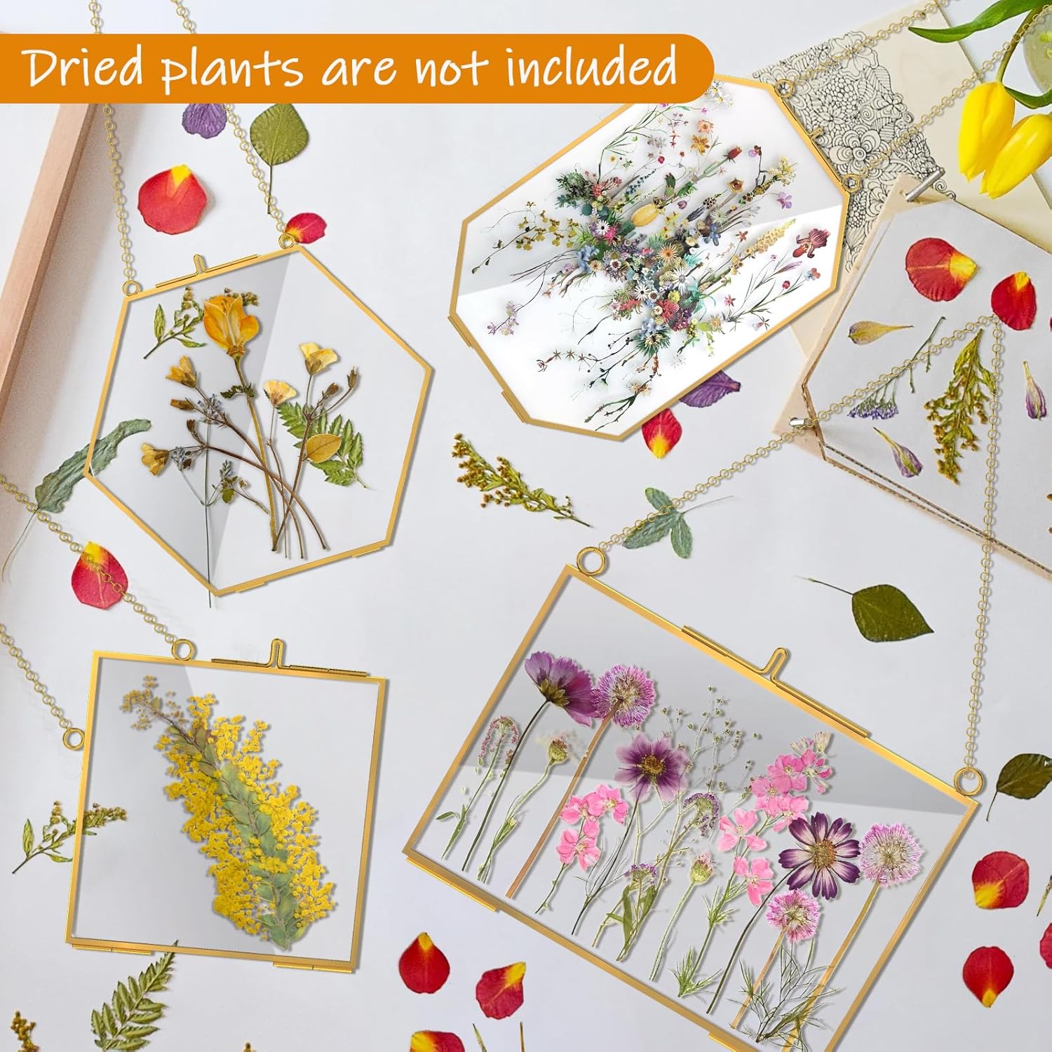 4 Pcs Gold Hanging Glass Picture Frame for DIY Pressed Flower Display