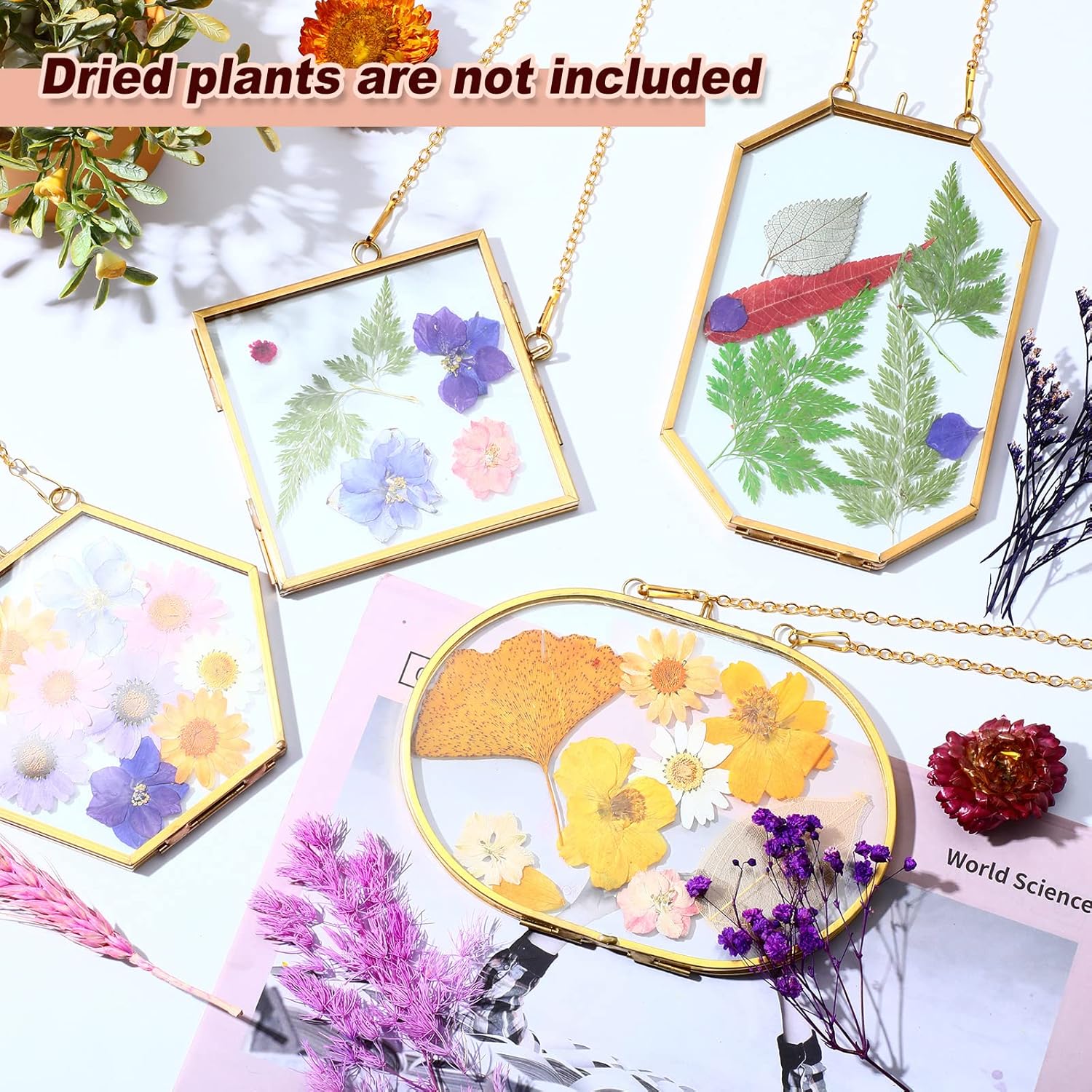 Reginary 9 Pcs Gold Brass Pressed Flower Frames