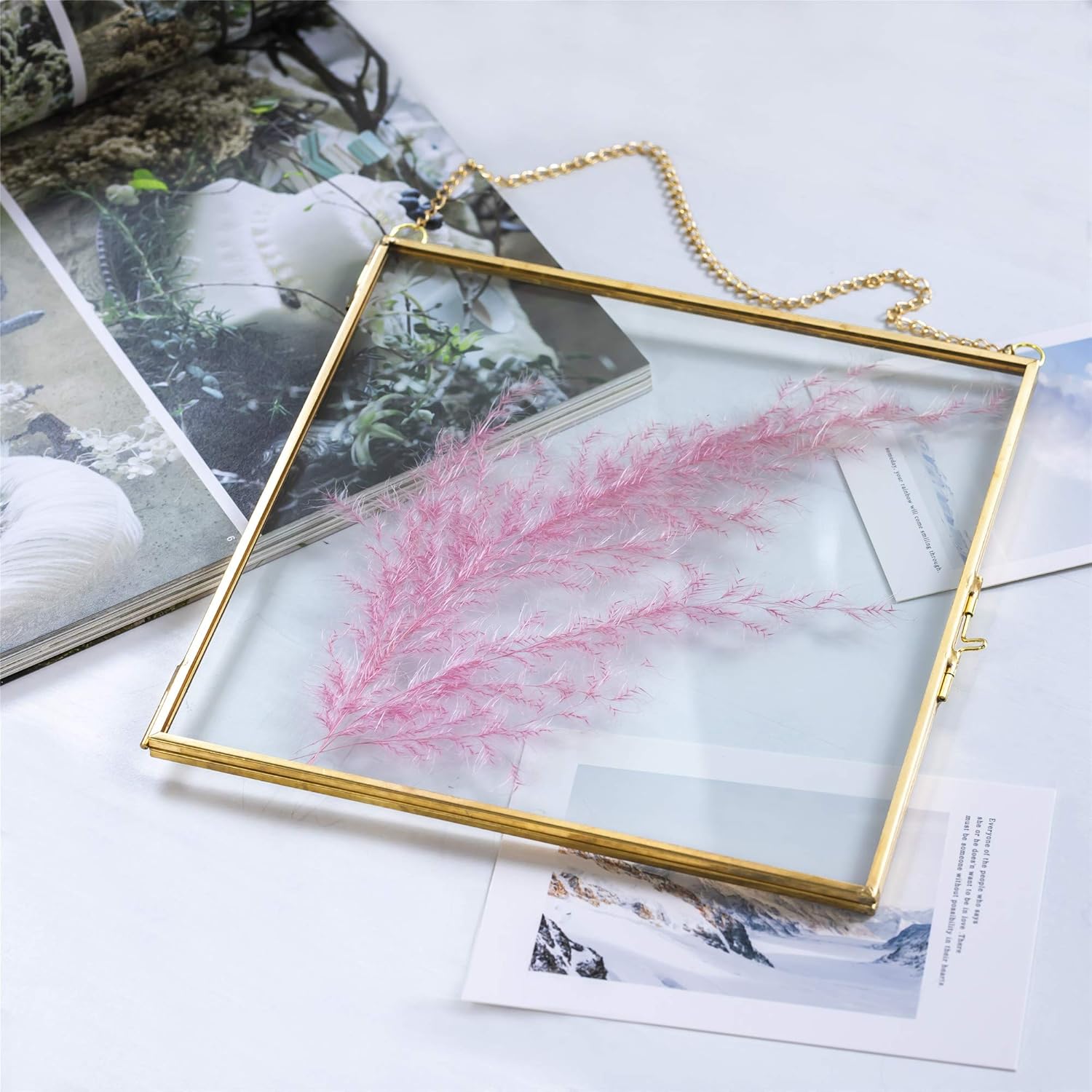 NCYP Double Glass Frame 8x8 Inch for Dried Flowers and Photos