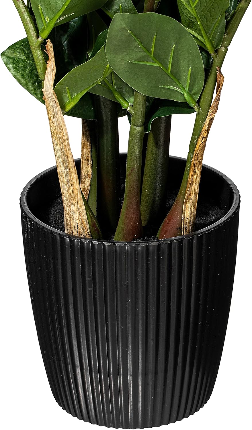 Vickerman TB170904 Zamiifolia Bush for Home Decor
